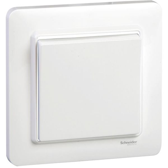 Schneider Electric Exxact Basic Kytkin porras/1-napainen