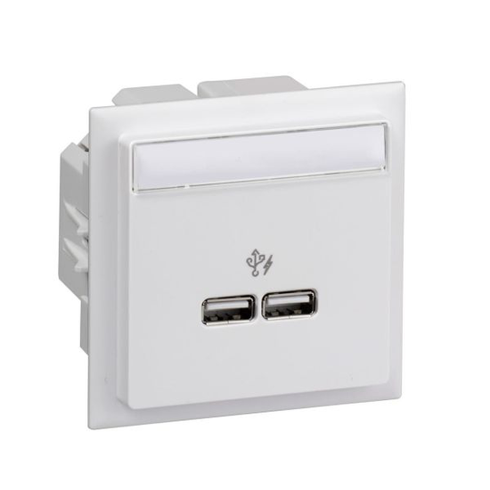 Schneider Electric INS60520 USB-laturi 2 lähtöä valkoinen