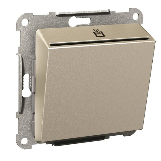 Schneider Electric Exxact Hotellikorttikytkin 2-napainen Metalli
