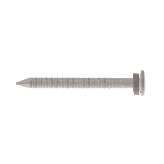 Gunnebo Z400620 Peltinaula 30 x 2,5 mm, 250 kpl valkoinen