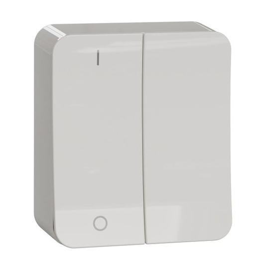 Schneider Electric Exxact WDE015541 Vaihtokytkin pinta-asennettava, 2x1-napainen
