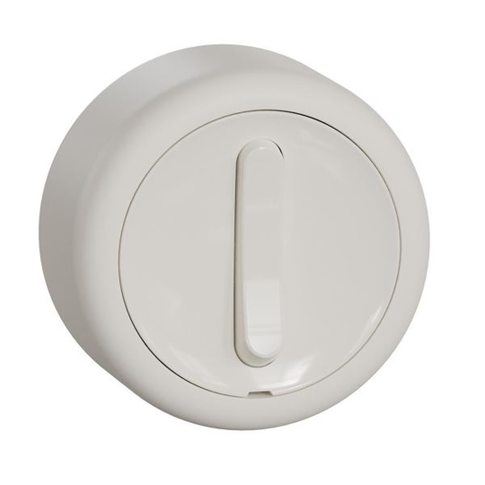 Schneider Electric Renova Vaihtokytkin 250 V, pikaliitin porras/1-napainen