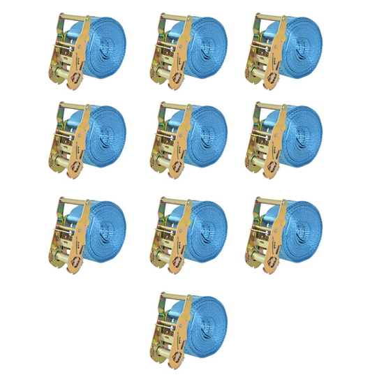 vidaXL Räikkä kuormaliinat 10 kpl 2 tonnia 6mx38mm Sininen